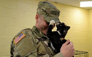 狗派男子到收容所領養汪星人　卻莫名被三花貓強制收編！