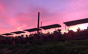 苗栗舊山線加開班次 騎鐵道自行車眺火炎山夕陽美景