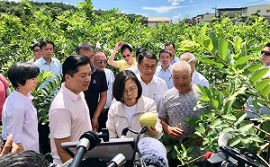 不擔心郭柯合作選總統？蔡英文：任何人都有參選權利