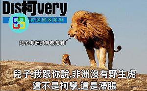 「獅子」「老虎」非洲共存？ 網友P圖：這不是柯學 這是滯脹
