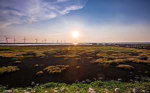 不用再追車！高美濕地末班公車8/17起延至19：30發車