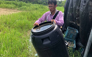 連續31天無新增本土登革熱病例  台南這3里解除監測
