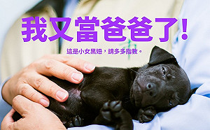 市長曬毛小孩 黃偉哲：我又當爸了！