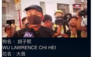 銅鑼灣放火暴徒 網友肉搜竟是飛虎隊假扮的