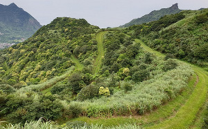 (影)9條步道玩新北！追尋先人足跡深度遊山林秘境
