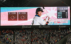 日職／王柏融魅力有限？火腿進場觀眾12隊衰退最多