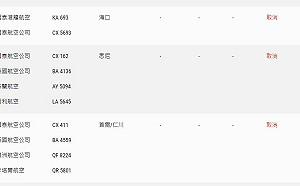 反送中》香港機場下午4時30分暫停航班登記服務