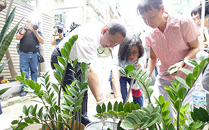 新北今年首例本土登革熱在中和現蹤