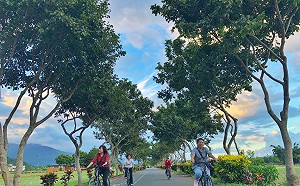 (影)藍天碧海下揮灑汗水 自行車「慢」旅花東私房景點