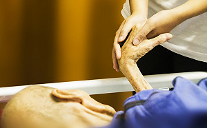 非冬天專利！7、8月易腦中風　醫揭關鍵：忘做「2件事」