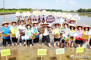 六甲稻田彩繪插秧開催 黃偉哲下田推廣台南好米