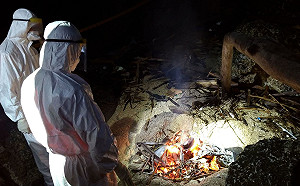 隨意丟棄可罰百萬！屏東墾丁、小琉球同天發現2起豬屍