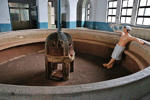 台北機廠修復中！「國家鐵道博物館」籌備處獲准成立