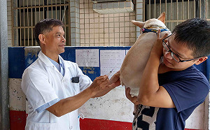 超狂獸醫敗選市長  吳富彤投入動物行動醫療站