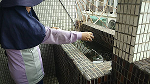 緬甸探親發病　台南新增境外移入登革熱病例