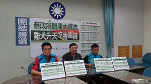 藍批蔡政府酬庸大爆炸 「滿朝皆是吳音寧」