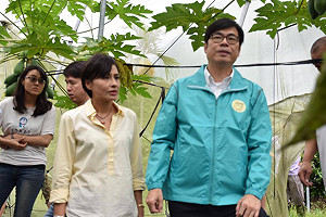 大雨農損》木瓜列現金救助   邱議瑩：不用等高雄市府提報