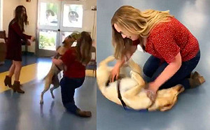 超冷靜服務犬畢業　與訓練師重逢太開心通通破功