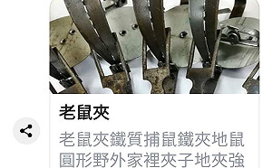 臉書違法販售捕獸夾 賣家恐罰7.5萬