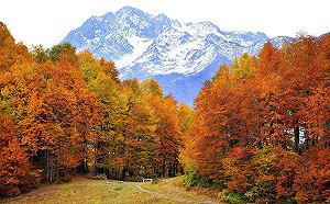 背包客逛世界》原來俄羅斯也有楓紅！推薦4大楓葉勝地賞九月最早金秋