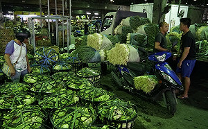 葉菜類市場批發創天價　連續豪雨受損嚴重復耕難