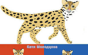 俄羅斯插畫家親繪石虎圖送台灣  暖心舉動被讚爆