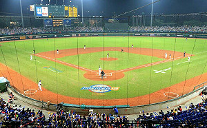 12強／奪冠獎金高達4710萬　中華隊要加油了