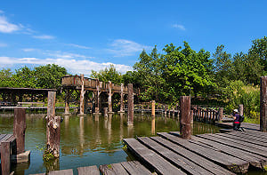 宜花東轉乘好省錢！明年公共運輸轉乘優惠不中斷