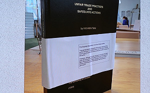 學者徐永泰赴LSE親閱蔡英文論文、提多處疑問  府：真的假不了