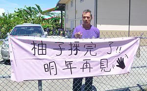 癌農無力採收柚子求援  上千熱心網友助摘認購