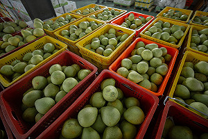 中秋吃柚「皮不要丟」 自製清潔劑去汙又除臭！