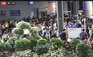 反送中》「和你飛2.0」啟動 發起人籲「三不」