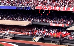 (影)駭人！少女竟變肉墊　男看球賽「3樓高」下墜超恐怖