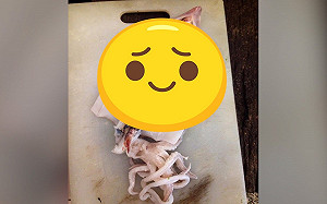 賺爆？買透抽「藏驚喜」超佛心！　行家曝內幕：有夠黑