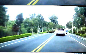 大黃牛追撞休旅車後「逃逸」　警方循線緝兇