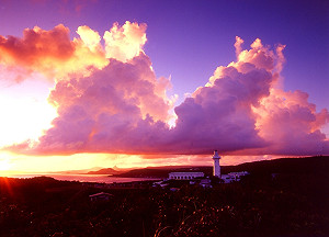 免費到處玩！12處國家森林遊樂區兒童入園免門票