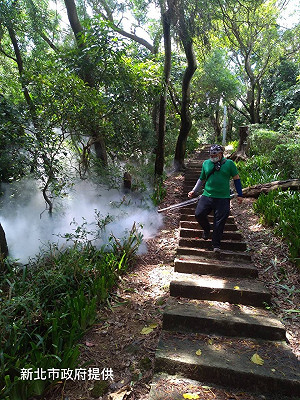 新北台南分別新增1屈公病和登革熱病例 疾管署籲雨後加強防疫
