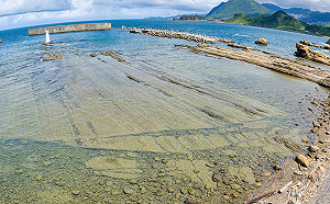 大小朋友都適合！基隆海科館5種端午限定活動大玩海洋風