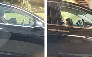 (影)旁邊開特斯拉！一看「全車睡死」靠自動駕駛　男嚇壞狂叭