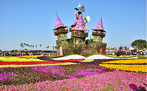 國旅秋冬補助優惠多  台中觀光大熱門