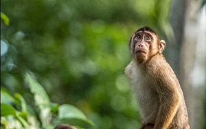 (影)尷尬無極限！「行房時刻」畫面流出　攝影師竟拿照片比賽