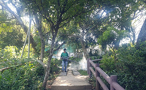 屈公病、登革熱疫情趨緩 中和國強嶺步道監測解除