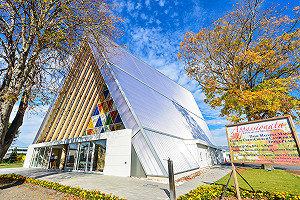 紐西蘭麻疹疫情警示提升  台灣確診首例境外移入個案