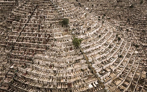 極樂世界被塞爆？港墓地「僧多粥少」照片曝光萬人驚呆