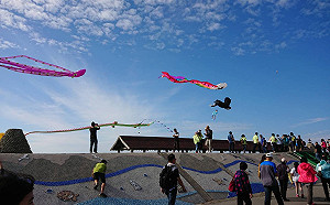 (影)台中海線一日輕旅行！5大最潮活動玩轉秋日大安海濱