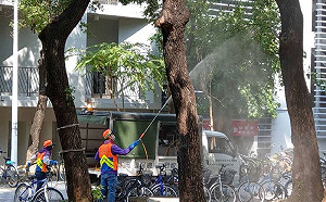 台南出現首例第3型登革熱 發病期間去過台中