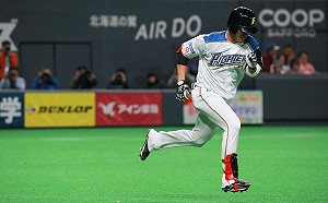 日職／王柏融驚傳左腳早就有傷　恐影響12強徵召