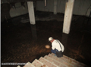 高雄市新增1本土登革熱案例 天氣轉涼疫情有望趨緩