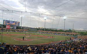 中華職棒／洲際首度滿場　兄弟最快明天就有望封王