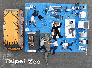 動物園開箱第二彈！「小虎行動診療車」替2千隻動物健康把關